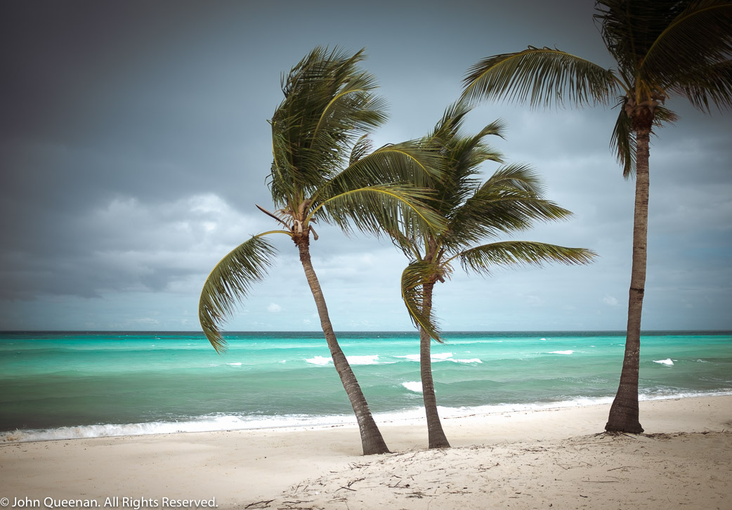 3 Palms, Bahamas 2021