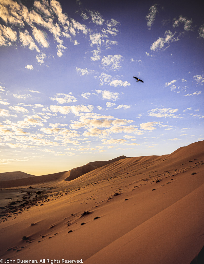 Sossusvlei #13, Namibia. 2012
